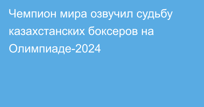 Чемпион мира озвучил судьбу казахстанских боксеров на Олимпиаде-2024