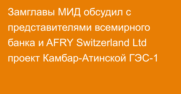 Замглавы МИД обсудил с представителями всемирного банка и AFRY Switzerland Ltd проект Камбар-Атинской ГЭС-1