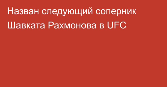 Назван следующий соперник Шавката Рахмонова в UFC