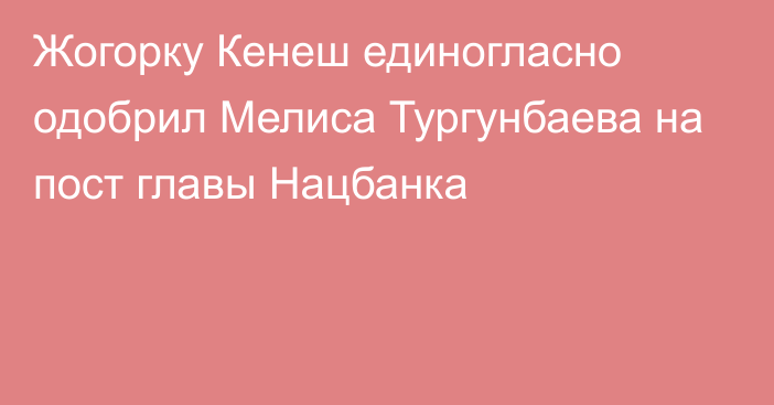 Жогорку Кенеш единогласно одобрил Мелиса Тургунбаева на пост главы Нацбанка