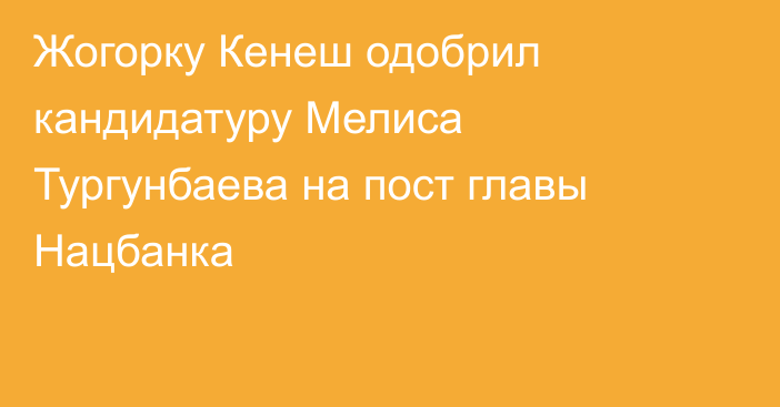 Жогорку Кенеш одобрил кандидатуру Мелиса Тургунбаева на пост главы Нацбанка