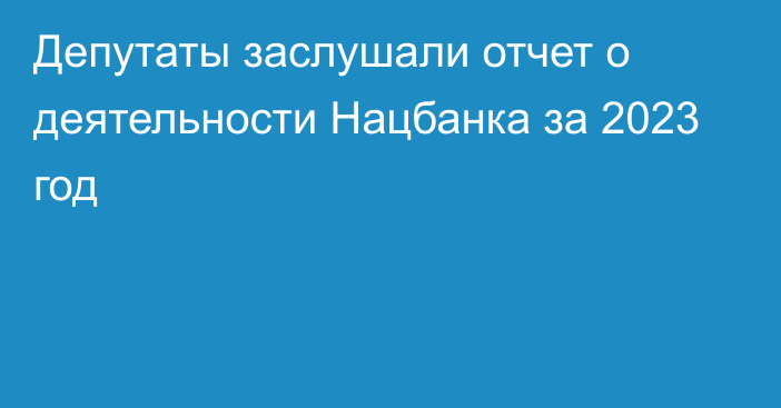 Депутаты заслушали отчет о деятельности Нацбанка за 2023 год