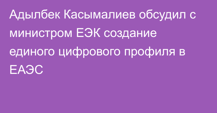 Адылбек Касымалиев обсудил с министром ЕЭК создание единого цифрового профиля в ЕАЭC