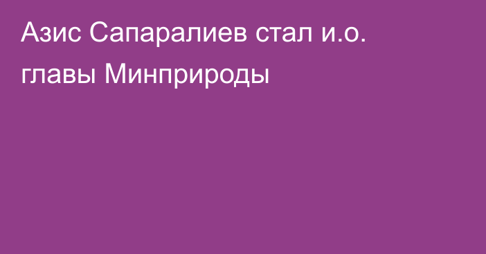 Азис Сапаралиев стал и.о. главы Минприроды