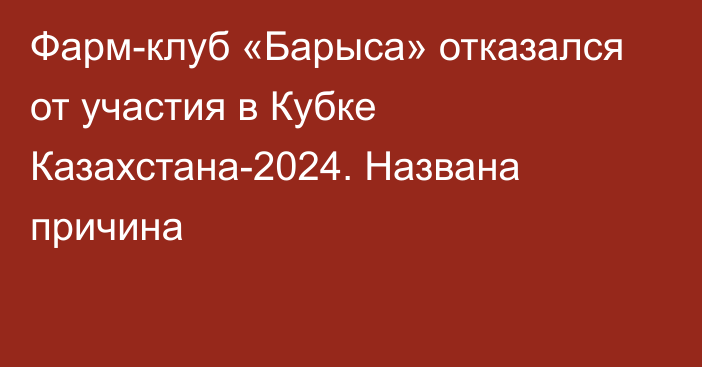 Фарм-клуб «Барыса» отказался от участия в Кубке Казахстана-2024. Названа причина