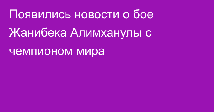 Появились новости о бое Жанибека Алимханулы с чемпионом мира