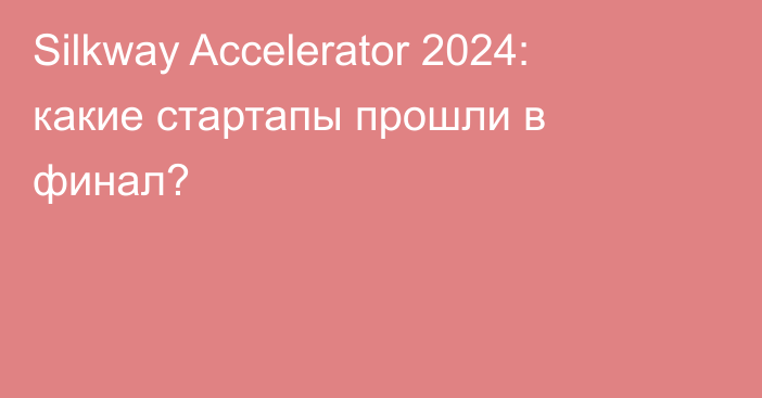Silkway Accelerator 2024: какие стартапы прошли в финал?