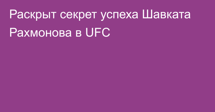 Раскрыт секрет успеха Шавката Рахмонова в UFC