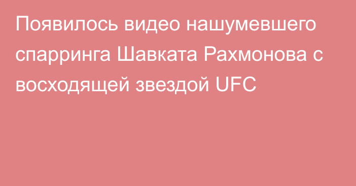 Появилось видео нашумевшего спарринга Шавката Рахмонова с восходящей звездой UFC