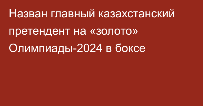 Назван главный казахстанский претендент на «золото» Олимпиады-2024 в боксе