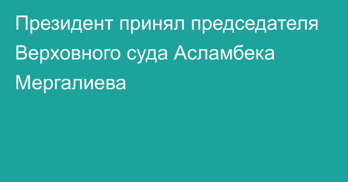 Президент принял председателя Верховного суда Асламбека Мергалиева