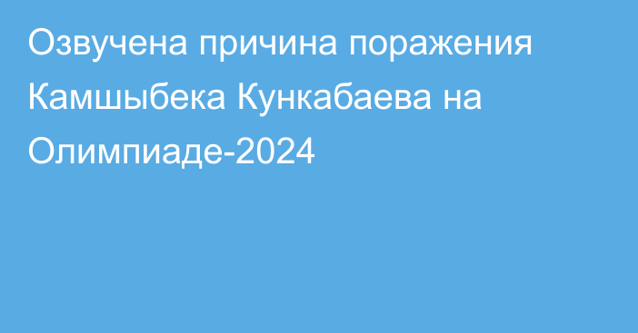 Озвучена причина поражения Камшыбека Кункабаева на Олимпиаде-2024