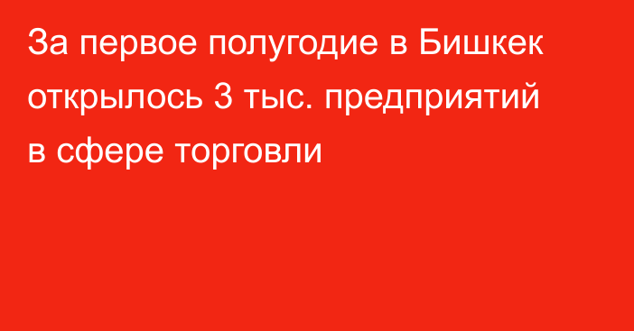 За первое полугодие в Бишкек открылось 3 тыс. предприятий в сфере торговли