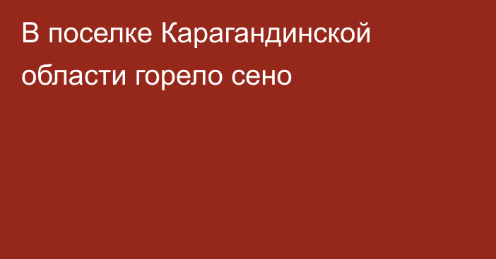 В поселке Карагандинской области горело сено