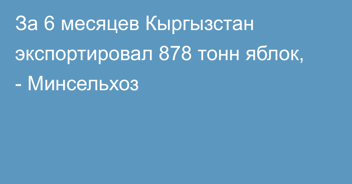 За 6 месяцев Кыргызстан экспортировал 878 тонн яблок, - Минсельхоз