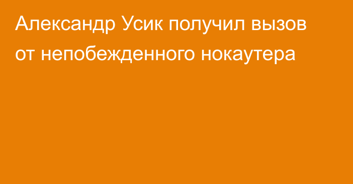 Александр Усик получил вызов от непобежденного нокаутера