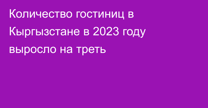 Количество гостиниц в Кыргызстане в 2023 году выросло на треть