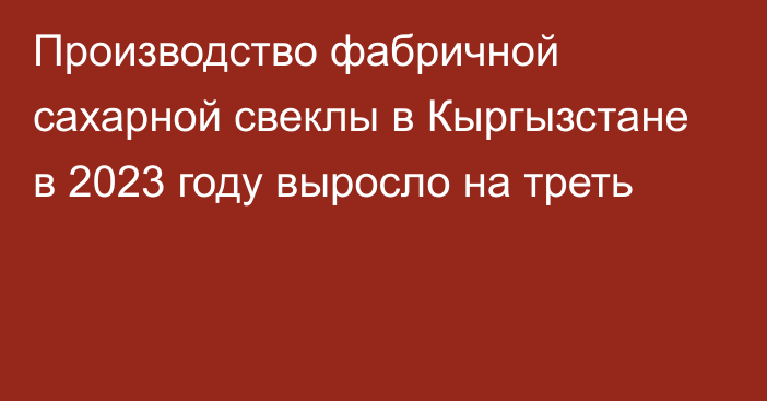 Производство фабричной сахарной свеклы в Кыргызстане в 2023 году выросло на треть