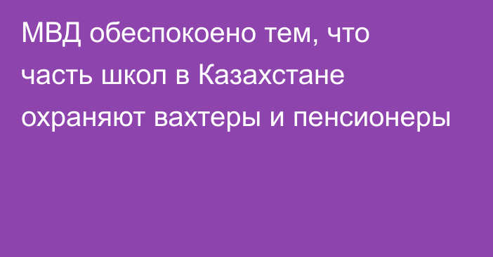 МВД обеспокоено тем, что часть школ в Казахстане охраняют вахтеры и пенсионеры