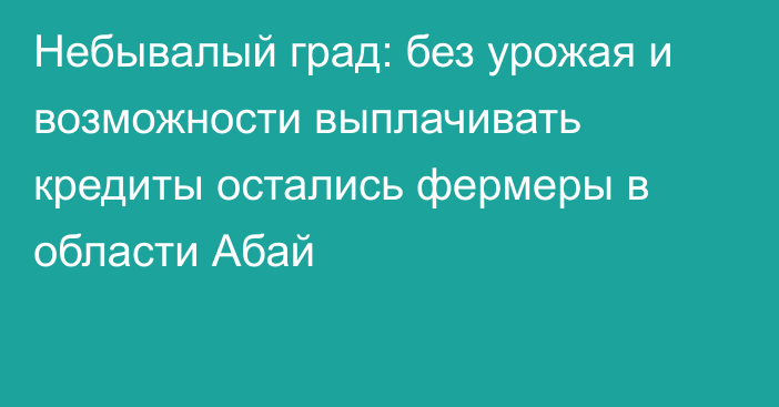 Небывалый град: без урожая и возможности выплачивать кредиты остались фермеры в области Абай