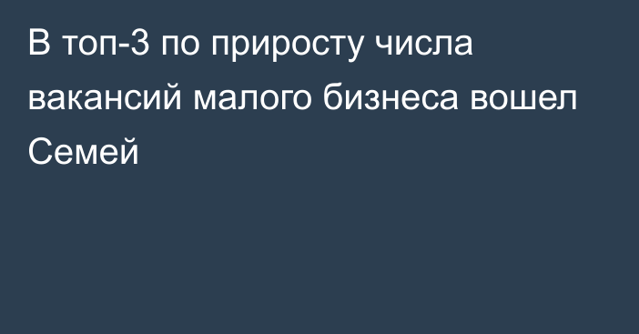 В топ-3 по приросту числа вакансий малого бизнеса вошел Семей