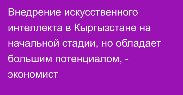 Внедрение искусственного интеллекта  в Кыргызстане на начальной стадии, но обладает большим потенциалом, - экономист