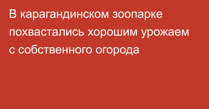 В карагандинском зоопарке похвастались хорошим урожаем с собственного огорода