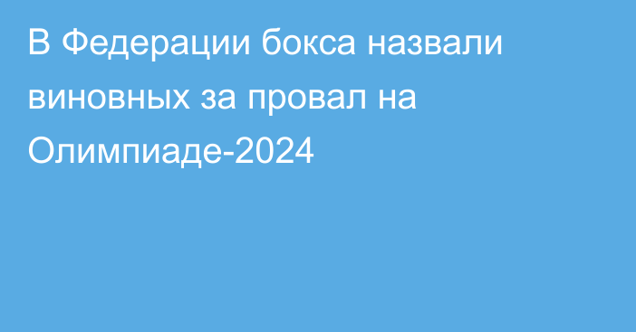 В Федерации бокса назвали виновных за провал на Олимпиаде-2024