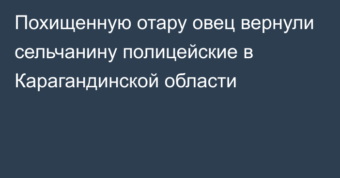 Похищенную отару овец вернули сельчанину полицейские в Карагандинской области