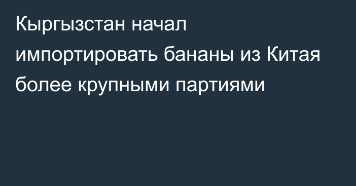 Кыргызстан начал импортировать бананы из Китая более крупными партиями