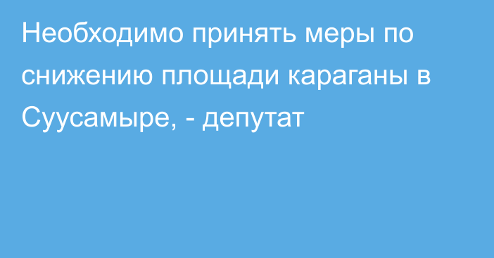 Необходимо принять меры по снижению площади караганы в Суусамыре, - депутат