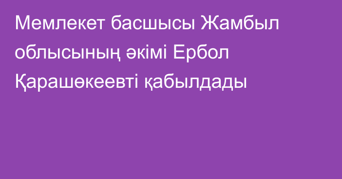 Мемлекет басшысы Жамбыл облысының әкімі Ербол Қарашөкеевті қабылдады