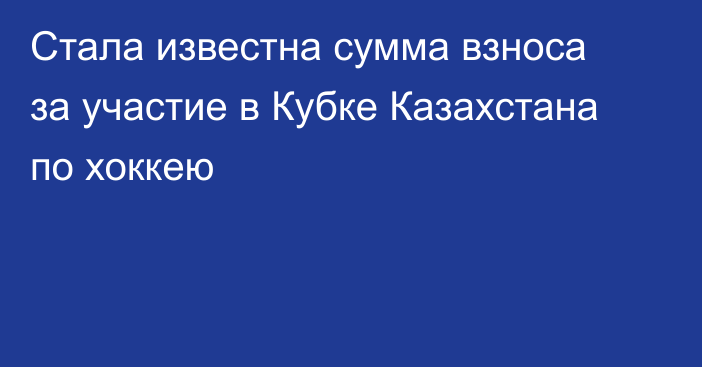 Стала известна сумма взноса за участие в Кубке Казахстана по хоккею