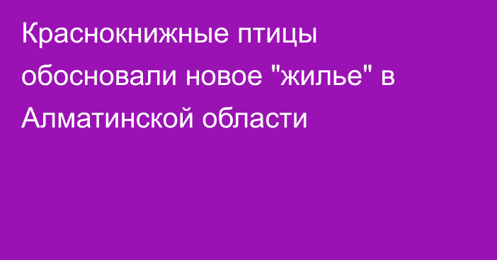 Краснокнижные птицы обосновали новое 