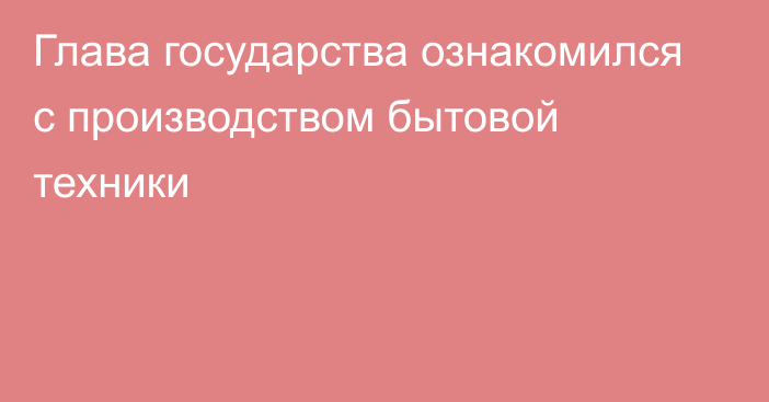 Глава государства ознакомился с производством бытовой техники