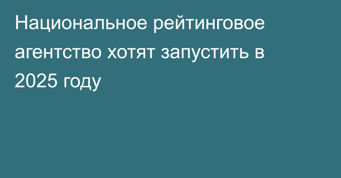 Национальное рейтинговое агентство хотят запустить в 2025 году