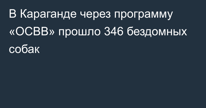 В Караганде через программу «ОСВВ» прошло 346 бездомных собак