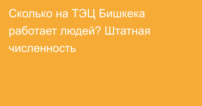 Сколько на ТЭЦ Бишкека работает людей? Штатная численность