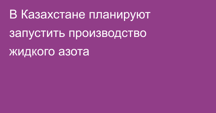 В Казахстане планируют запустить производство жидкого азота