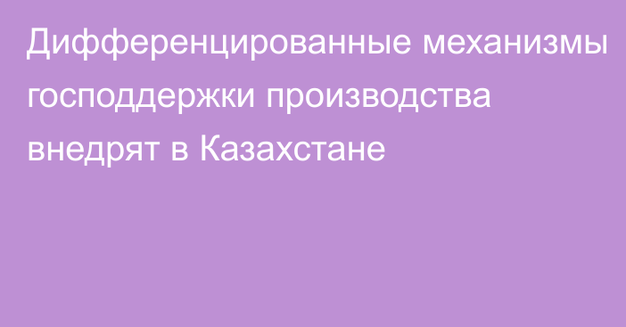 Дифференцированные механизмы господдержки производства внедрят в Казахстане