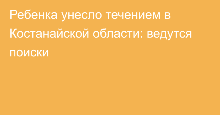 Ребенка унесло течением в Костанайской области: ведутся поиски