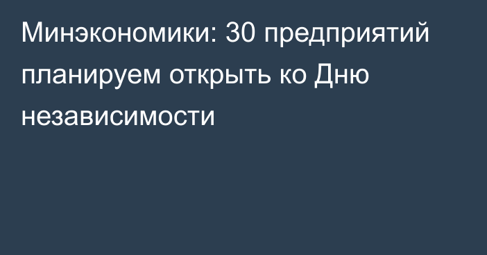 Минэкономики: 30 предприятий планируем открыть ко Дню независимости