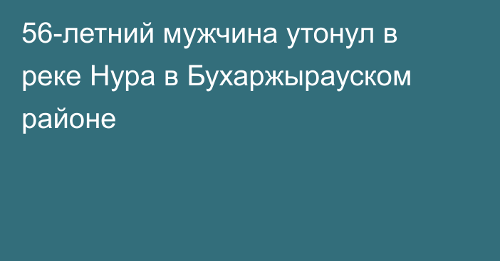 56-летний мужчина утонул в реке Нура в Бухаржырауском районе