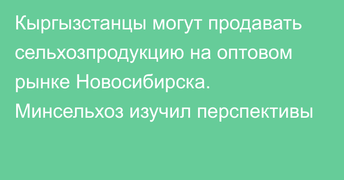 Кыргызстанцы могут продавать сельхозпродукцию на оптовом рынке Новосибирска. Минсельхоз изучил перспективы