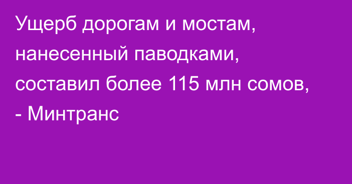 Ущерб дорогам и мостам, нанесенный паводками, составил более 115 млн сомов, - Минтранс