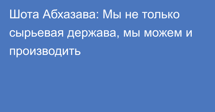 Шота Абхазава: Мы не только сырьевая держава, мы можем и производить