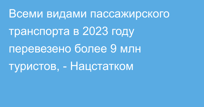 Всеми видами пассажирского транспорта в 2023 году перевезено более 9 млн туристов, - Нацстатком