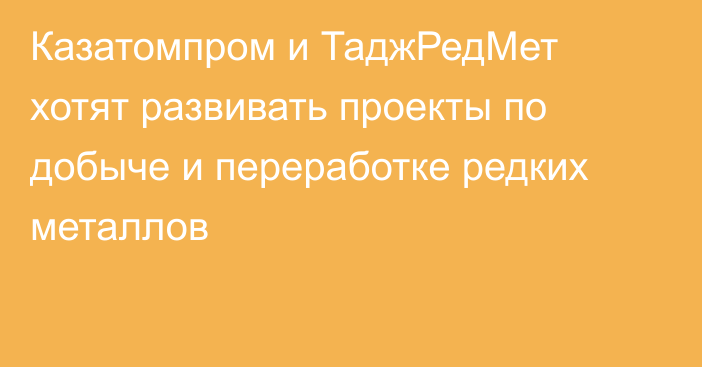 Казатомпром и ТаджРедМет хотят развивать проекты по добыче и переработке редких металлов