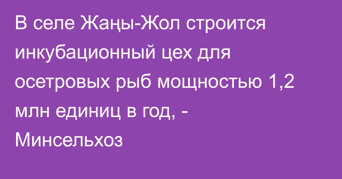 В селе Жаңы-Жол строится инкубационный цех для осетровых рыб мощностью 1,2 млн единиц в год, - Минсельхоз