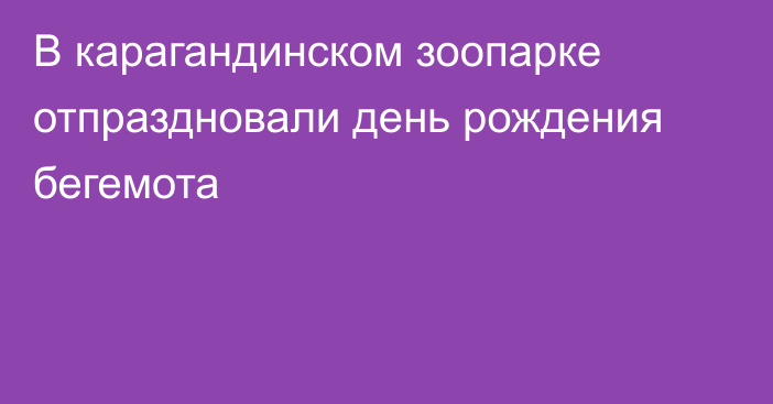 В карагандинском зоопарке отпраздновали день рождения бегемота